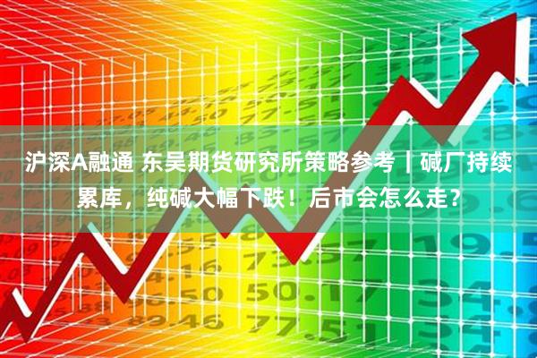 沪深A融通 东吴期货研究所策略参考｜碱厂持续累库，纯碱大幅下跌！后市会怎么走？