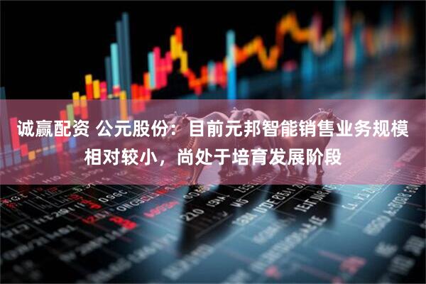 诚赢配资 公元股份：目前元邦智能销售业务规模相对较小，尚处于培育发展阶段