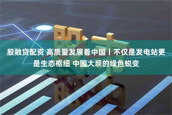 股融贷配资 高质量发展看中国丨不仅是发电站更是生态枢纽 中国大坝的绿色蜕变